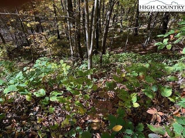 1.1 Acres of Residential Land for Sale in Creston, North Carolina