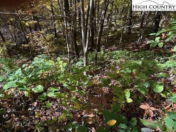 1.1 Acres of Residential Land for Sale in Creston, North Carolina