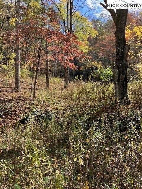 12.5 Acres of Recreational Land for Sale in Vilas, North Carolina