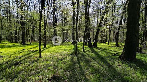 17 Acres of Recreational Land for Sale in Manchester, Kentucky