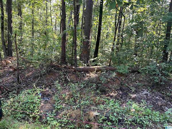 0.48 Acres of Residential Land for Sale in McCalla, Alabama