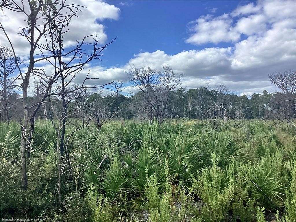0.46 Acres of Residential Land for Sale in Lake Placid, Florida