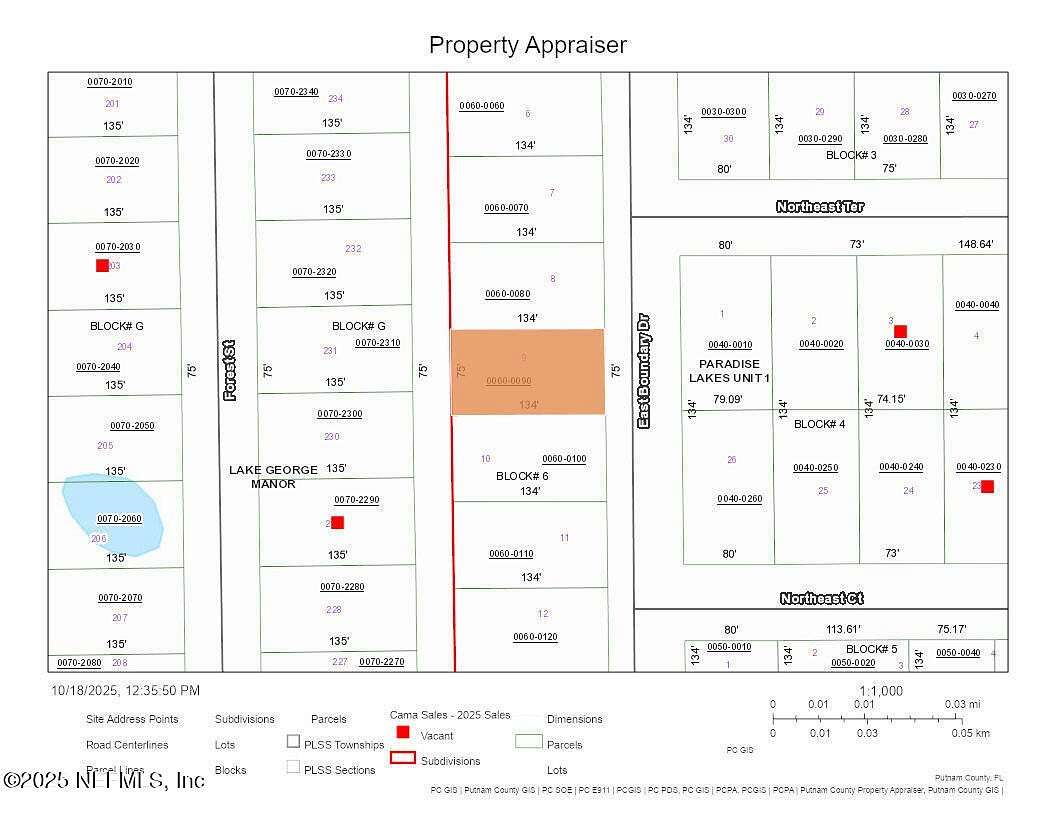 0.23 Acres of Land for Sale in Georgetown, Florida