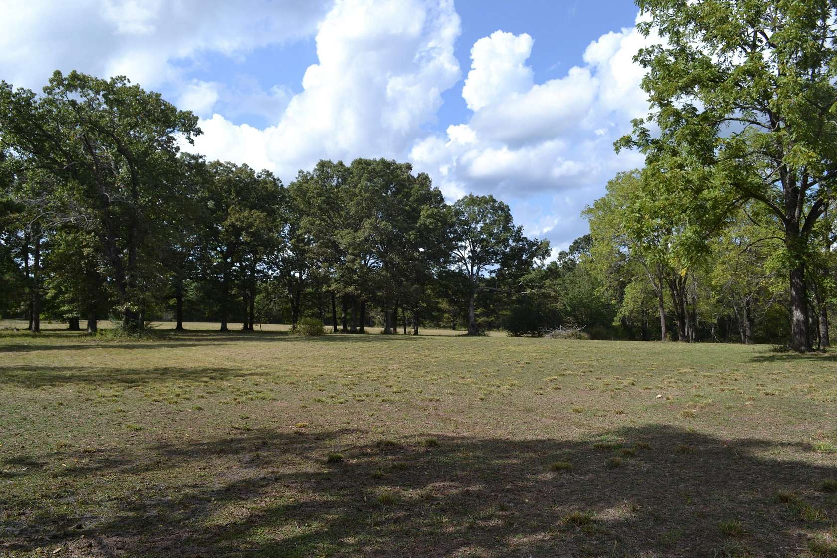 32.5 Acres of Land for Sale in Ava, Missouri