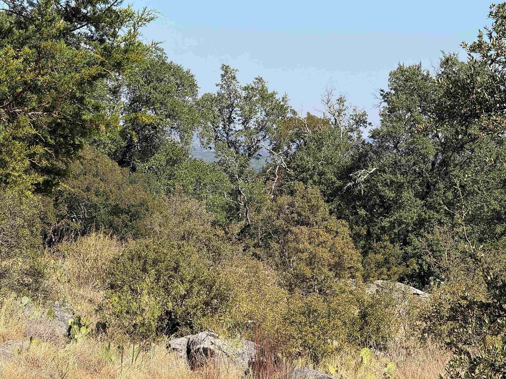 0.28 Acres of Residential Land for Sale in Horseshoe Bay, Texas