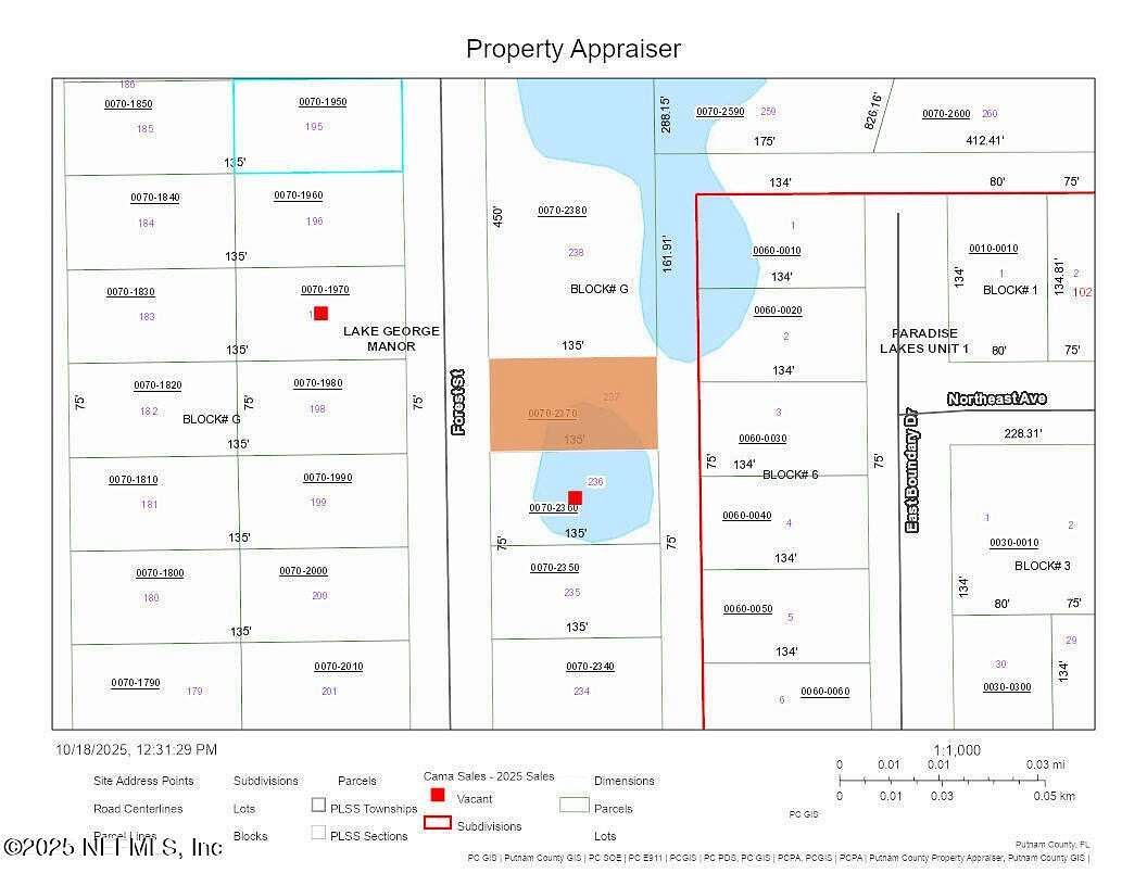 0.23 Acres of Land for Sale in Georgetown, Florida