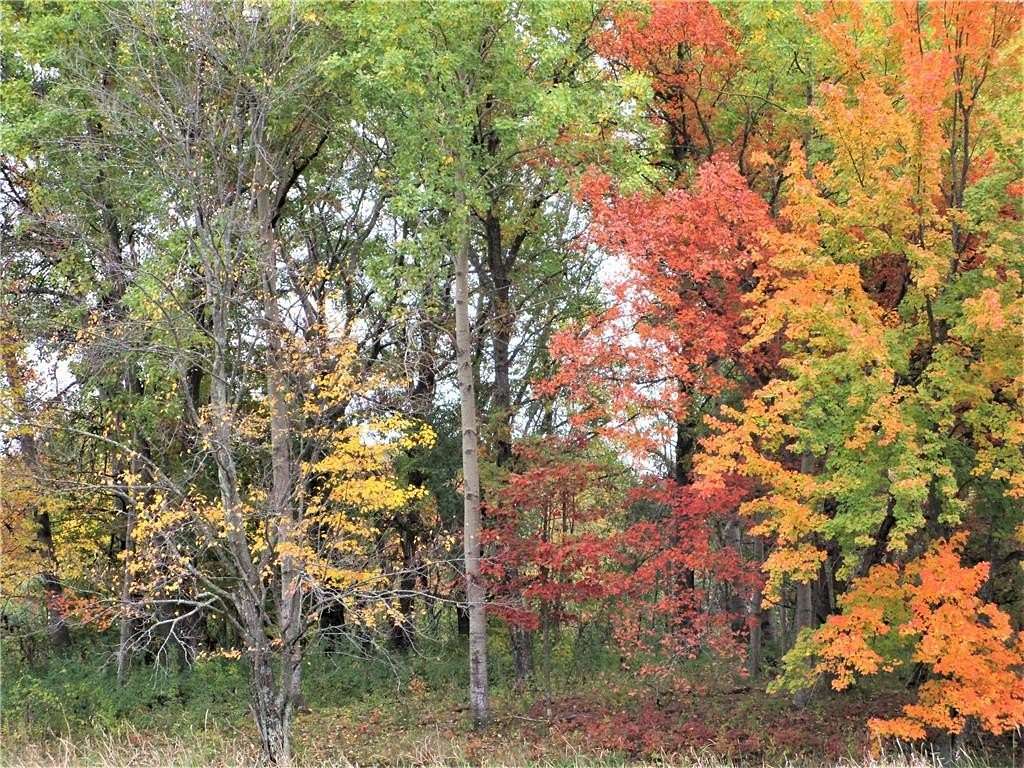 78.3 Acres of Recreational Land for Sale in Frederic, Wisconsin