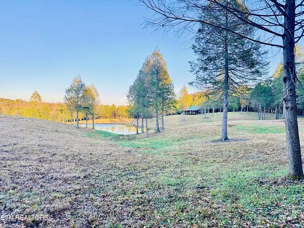 11.5 Acres of Land with Home for Sale in Crawford, Tennessee