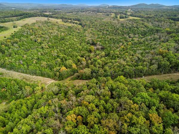 20 Acres of Recreational Land for Sale in Gainesville, Missouri