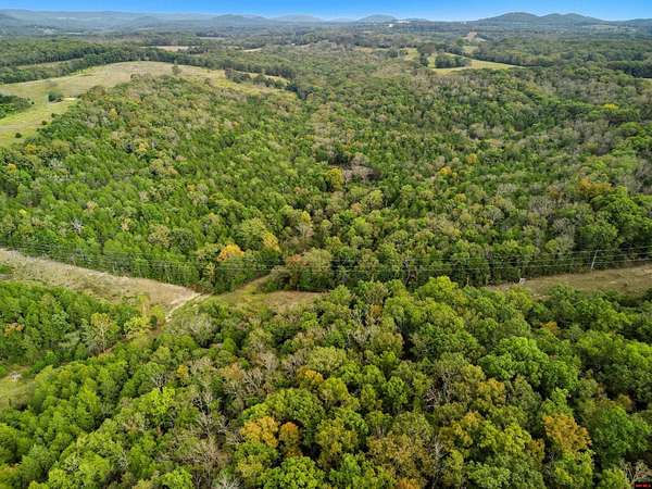 20 Acres of Recreational Land for Sale in Gainesville, Missouri