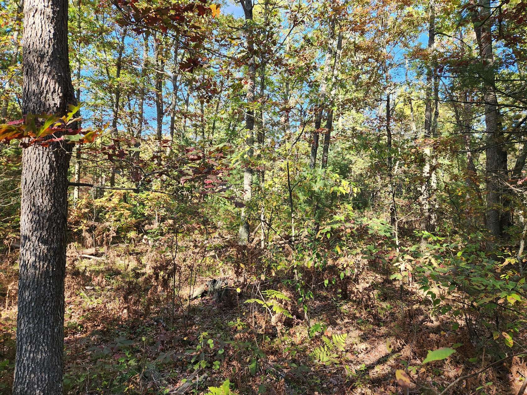 8.7 Acres of Land for Sale in Wellston, Michigan