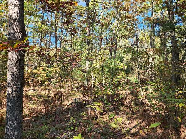 8.7 Acres of Land for Sale in Wellston, Michigan