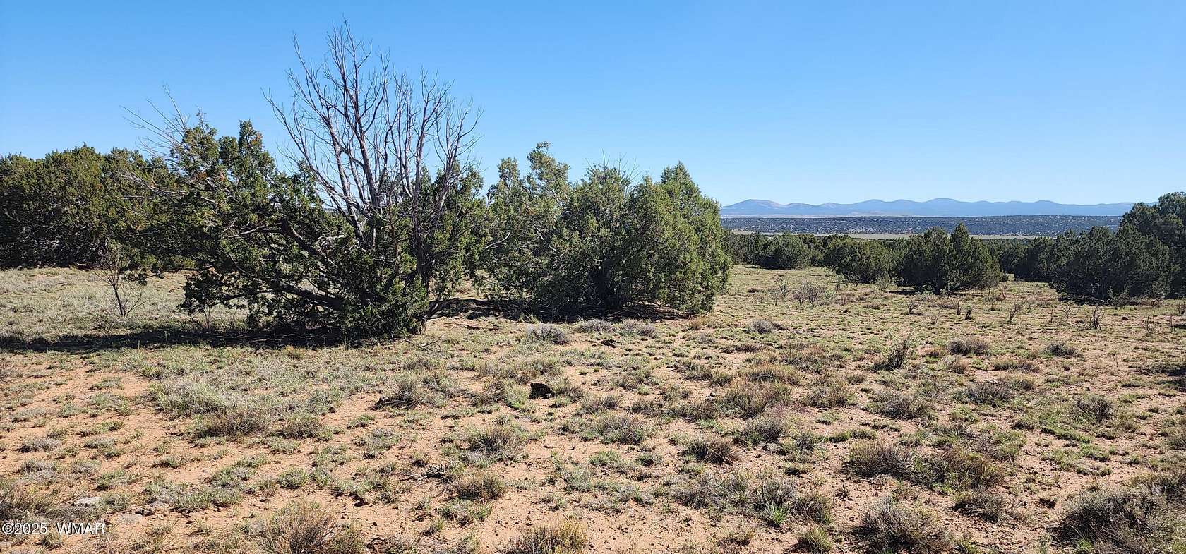 38 Acres of Land for Sale in Concho, Arizona
