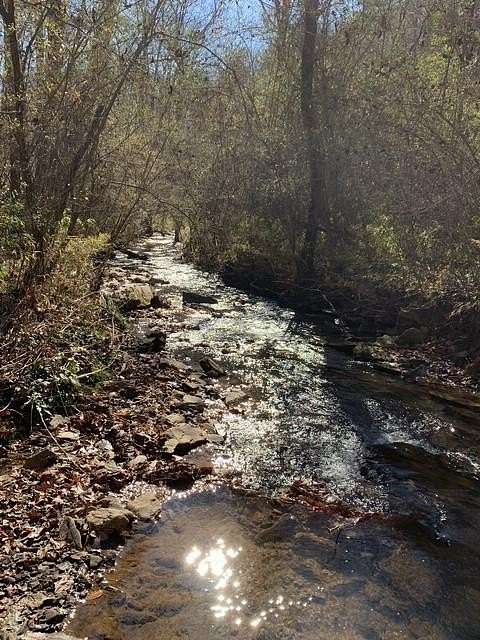 1.75 Acres of Land for Sale in Ellijay, Georgia