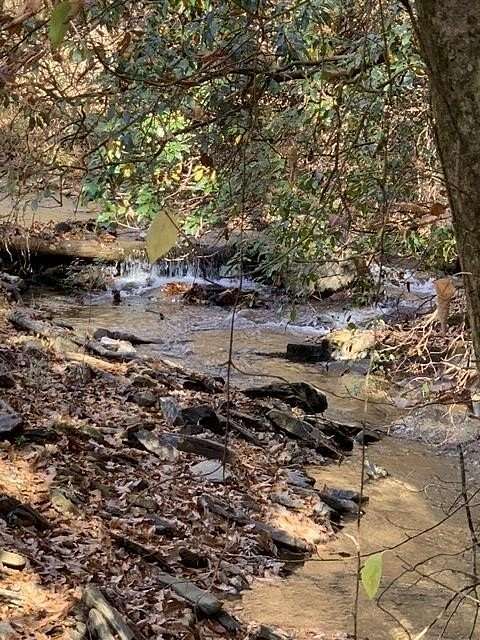 1.75 Acres of Land for Sale in Ellijay, Georgia