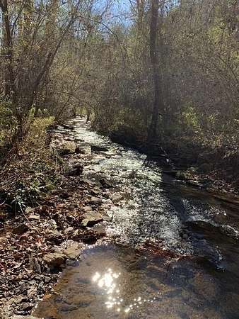 1.75 Acres of Land for Sale in Ellijay, Georgia