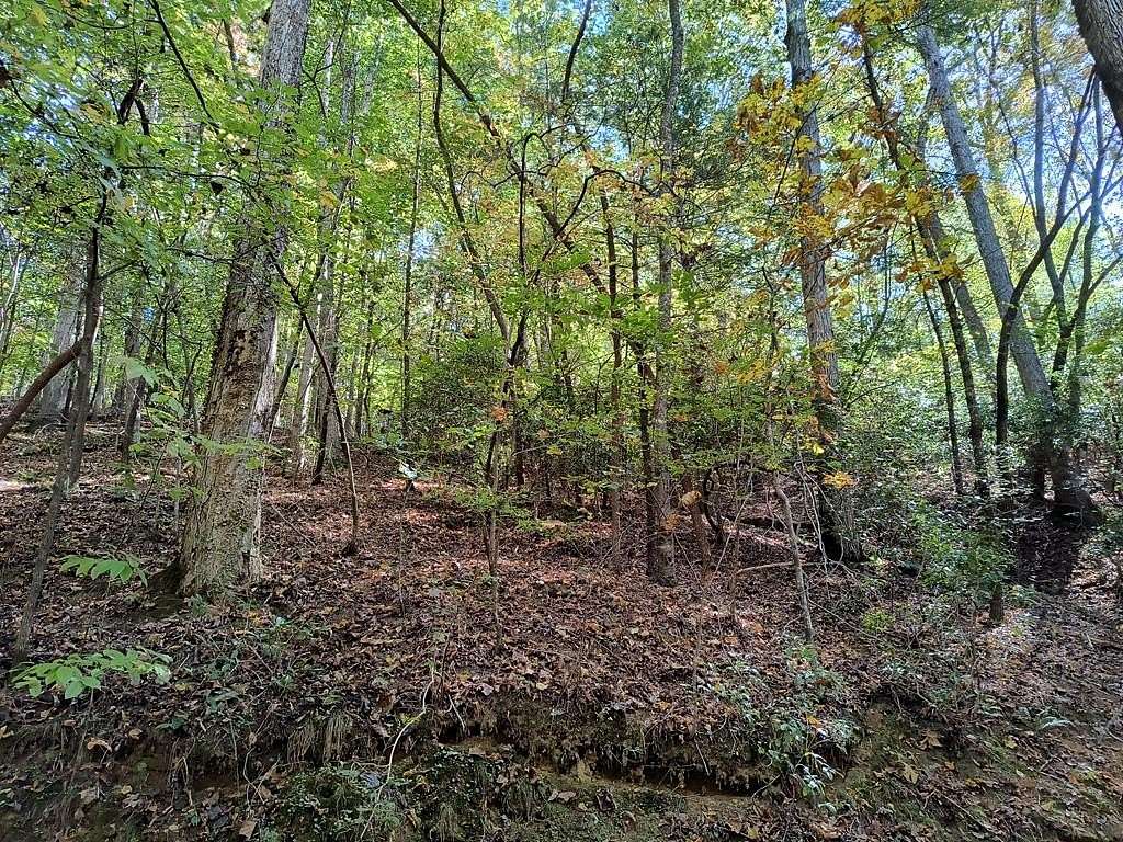 0.5 Acres of Land for Sale in Ellijay, Georgia