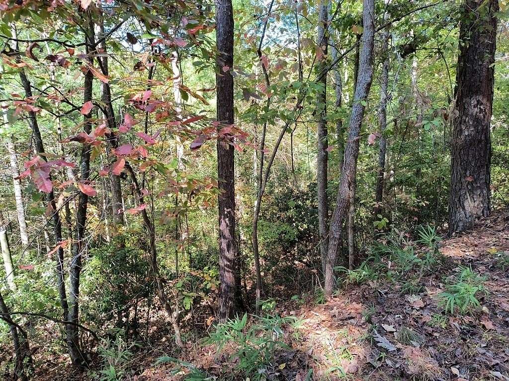 0.5 Acres of Land for Sale in Ellijay, Georgia