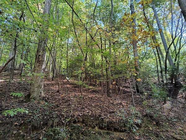 0.5 Acres of Land for Sale in Ellijay, Georgia