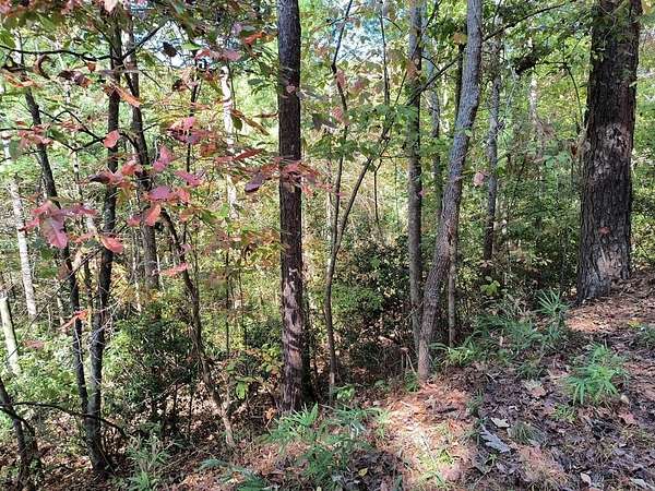 0.5 Acres of Land for Sale in Ellijay, Georgia