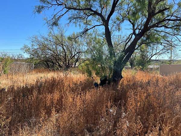 0.18 Acres of Residential Land for Sale in Big Spring, Texas