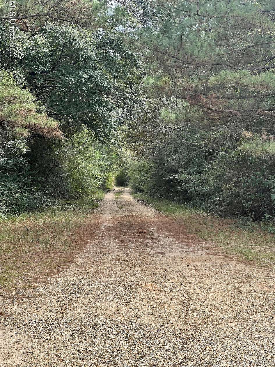 0.28 Acres of Residential Land for Sale in Lumberton, Mississippi