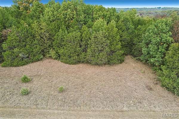 10 Acres of Land for Sale in De Soto, Missouri