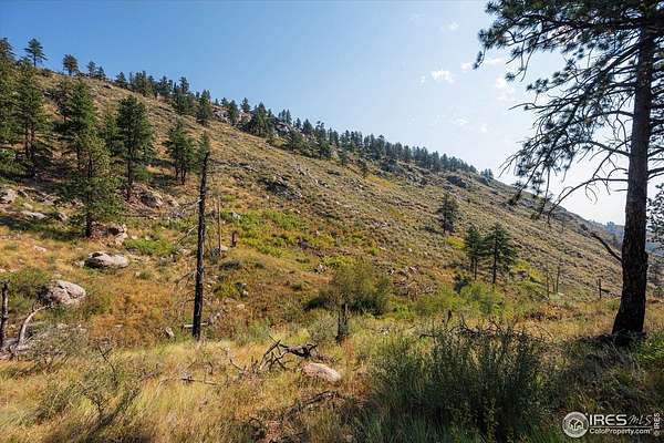 15 Acres of Recreational Land for Sale in Bellvue, Colorado