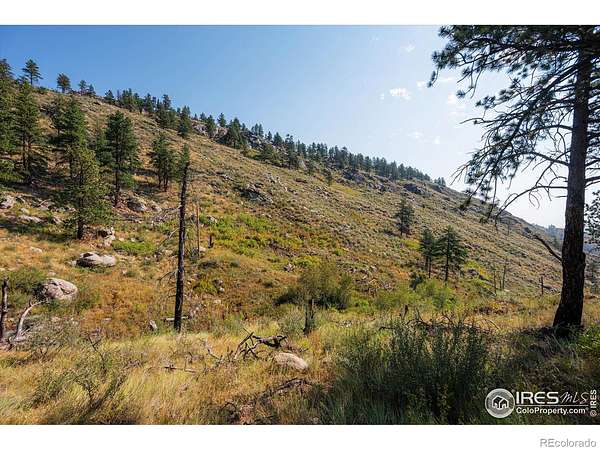 15 Acres of Recreational & Residential Land for Sale in Bellvue, Colorado