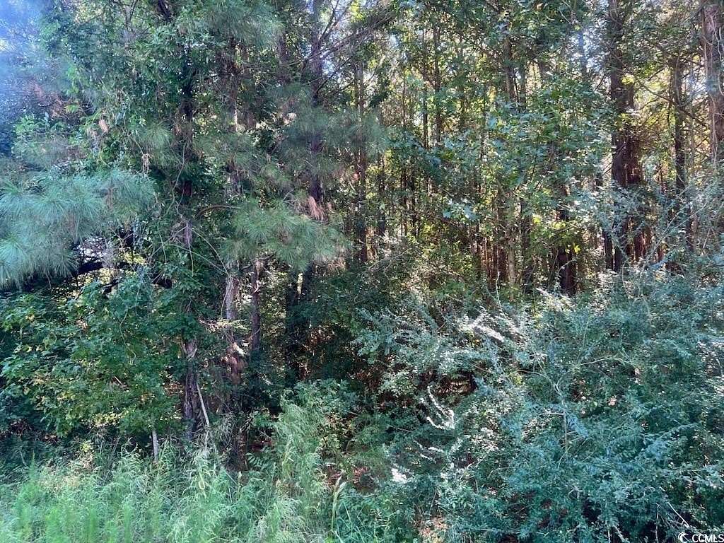 8 Acres of Residential Land for Sale in Conway, South Carolina