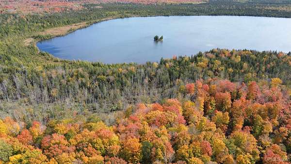 8.9 Acres of Residential Land for Sale in Gulliver, Michigan