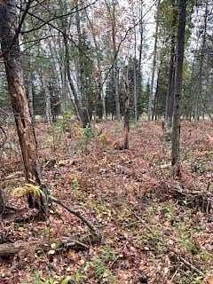 10 Acres of Recreational Land for Sale in Falmouth, Michigan