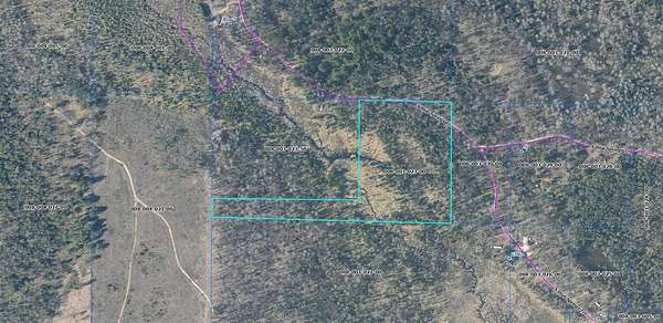 10 Acres of Recreational Land for Sale in Falmouth, Michigan