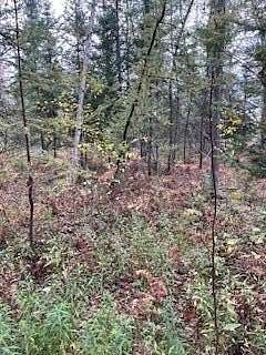 10 Acres of Recreational Land for Sale in Falmouth, Michigan