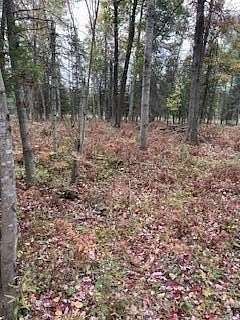 10 Acres of Recreational Land for Sale in Falmouth, Michigan