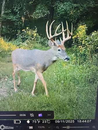 187 Acres of Recreational Land & Farm for Sale in Drakesville, Iowa