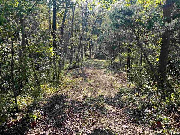 34 Acres of Land for Sale in Versailles, Illinois