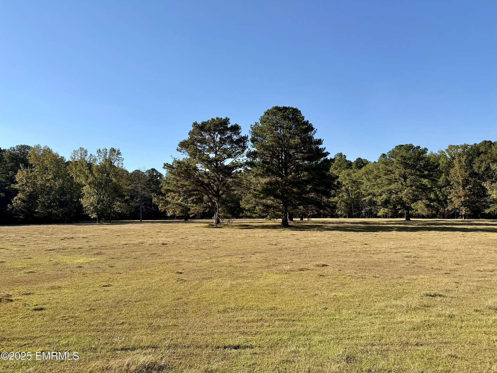 50 Acres of Recreational Land & Farm for Sale in Toomsuba, Mississippi