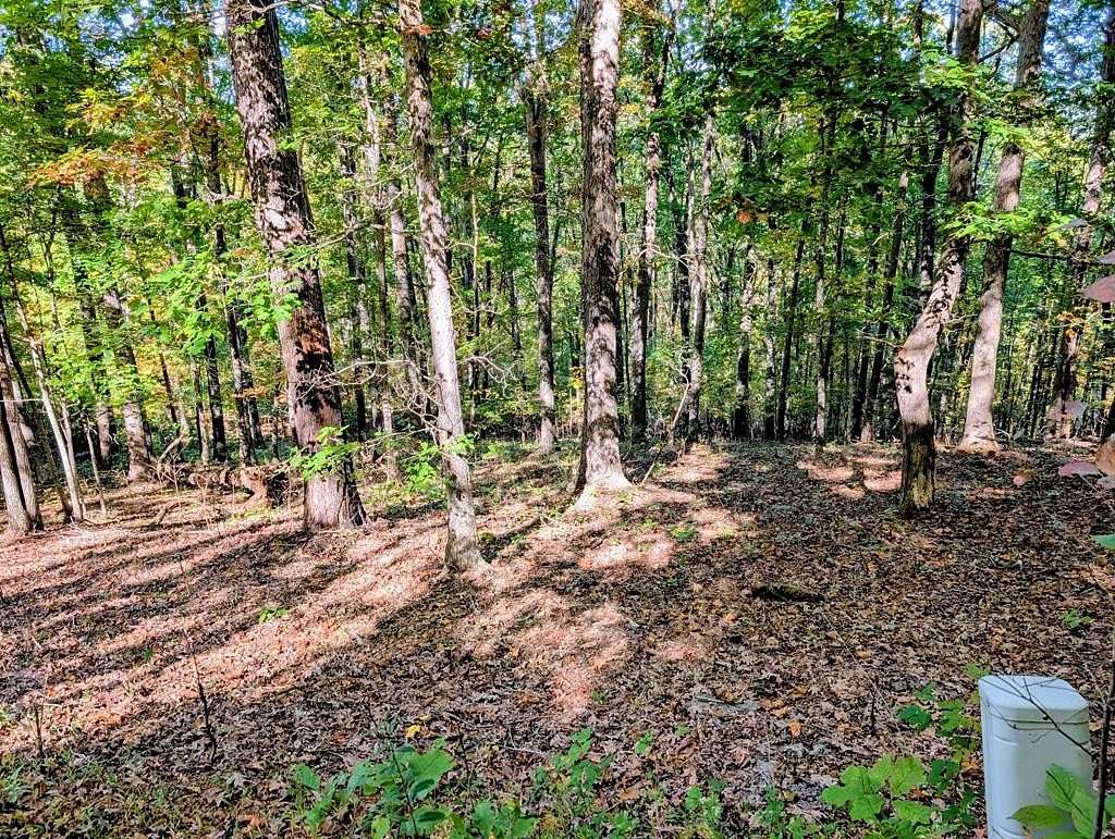 1.3 Acres of Residential Land for Sale in Young Harris, Georgia