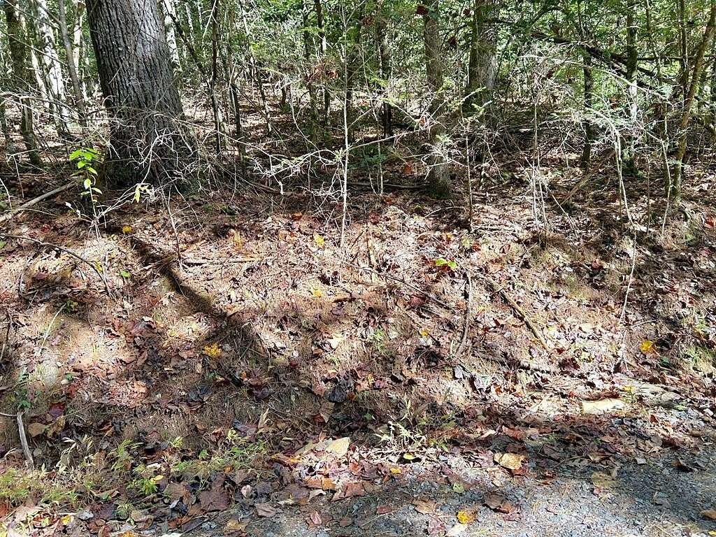 Residential Land for Sale in Murphy, North Carolina