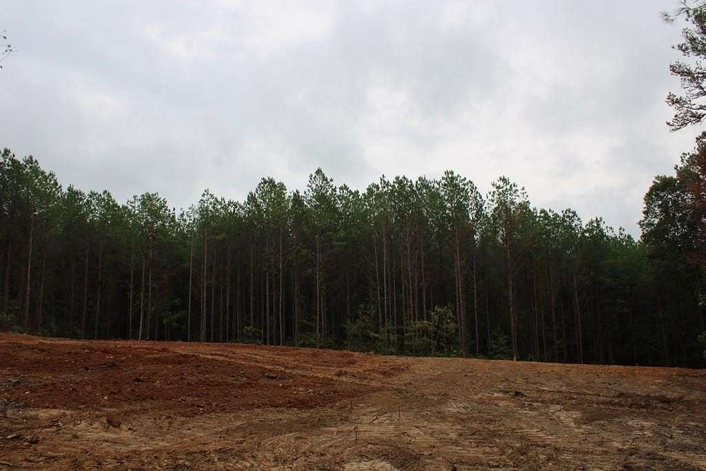 10 Acres of Residential Land for Sale in Oxford, Mississippi