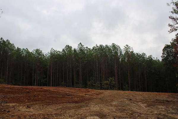10 Acres of Residential Land for Sale in Oxford, Mississippi