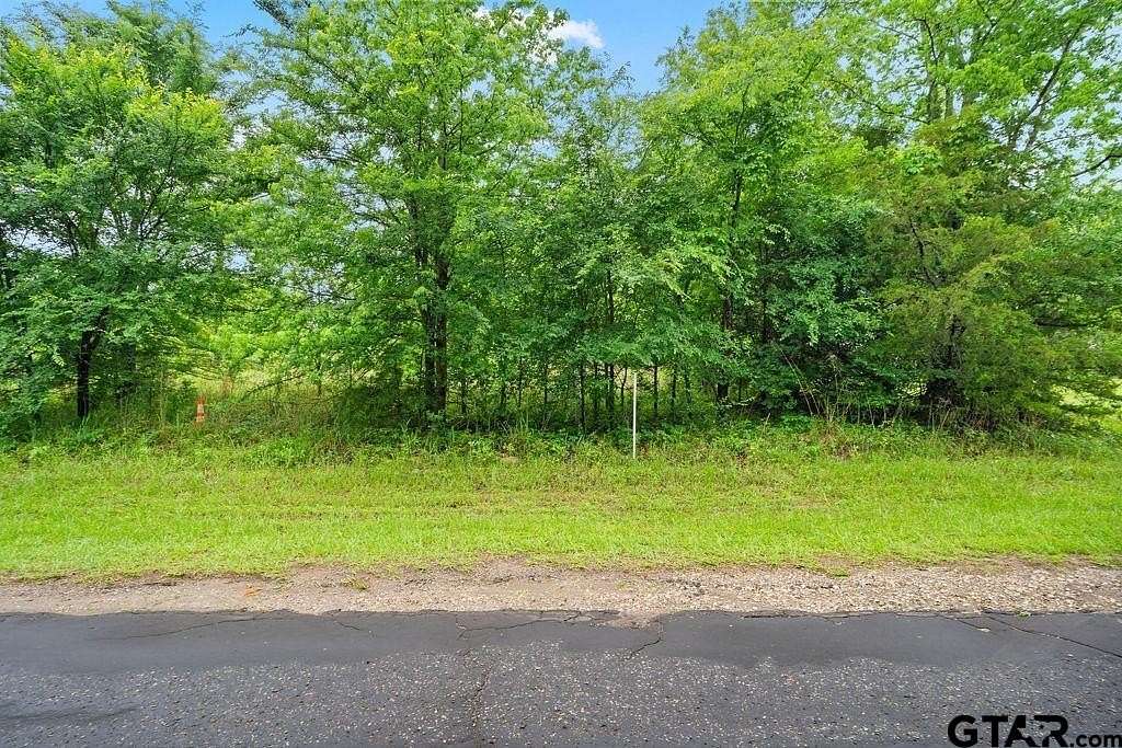 5.5 Acres of Residential Land for Sale in Ben Wheeler, Texas