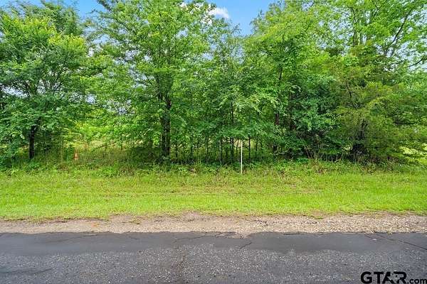 5.5 Acres of Residential Land for Sale in Ben Wheeler, Texas