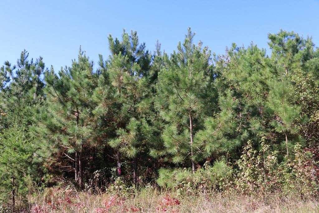 4.37 Acres of Residential Land for Sale in Meherrin, Virginia