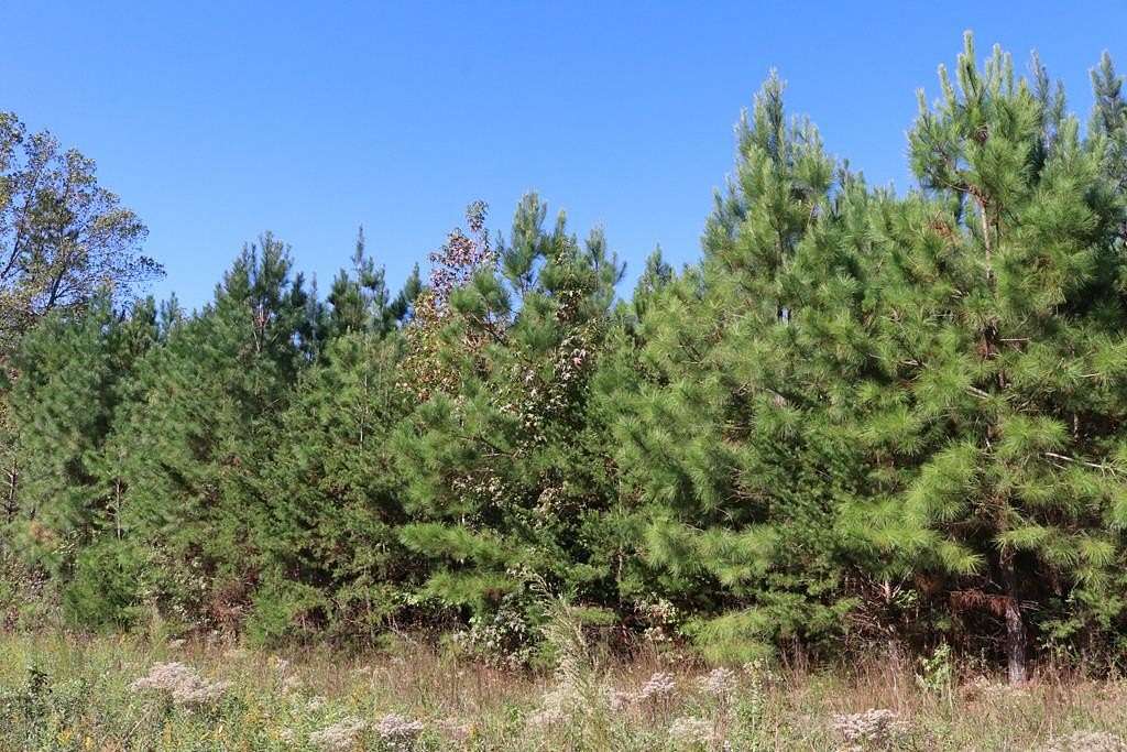 6.67 Acres of Residential Land for Sale in Meherrin, Virginia
