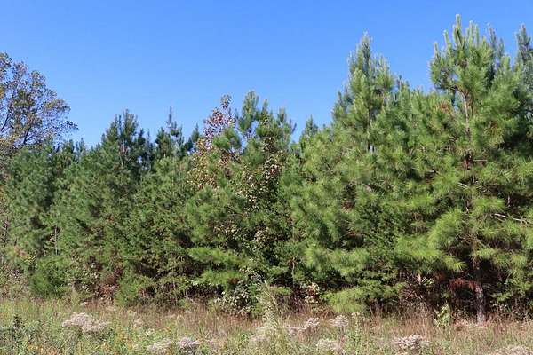 6.67 Acres of Residential Land for Sale in Meherrin, Virginia