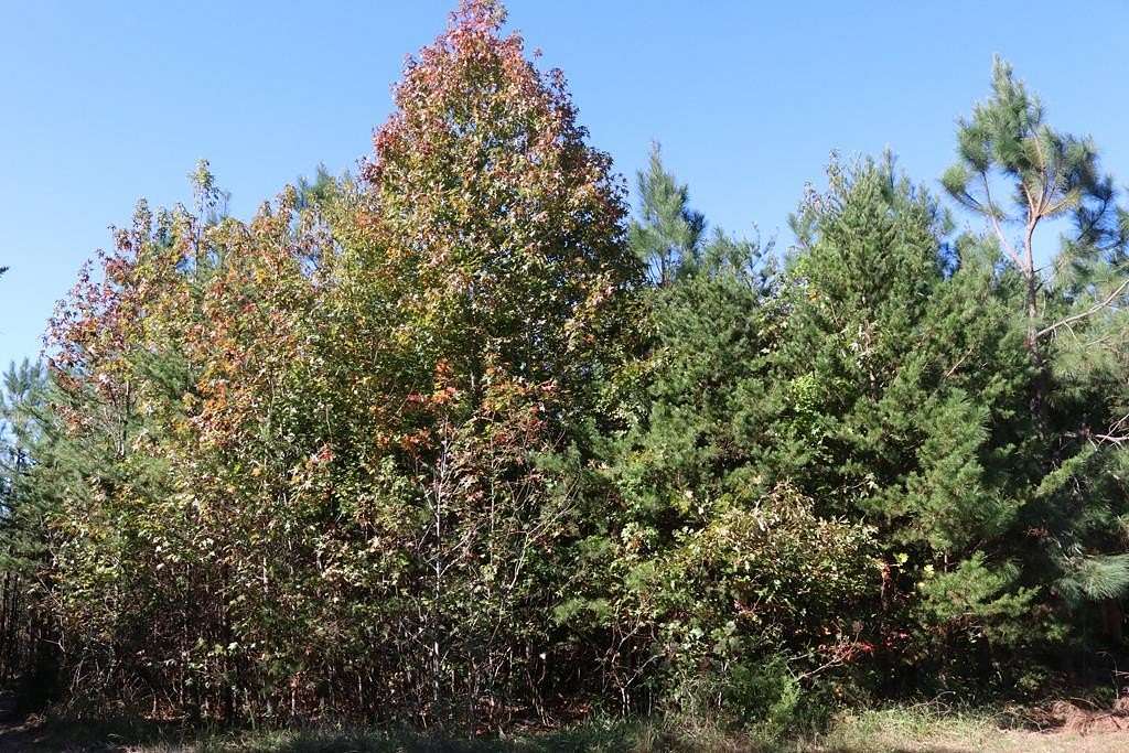 7.45 Acres of Residential Land for Sale in Meherrin, Virginia