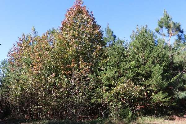 7.45 Acres of Residential Land for Sale in Meherrin, Virginia