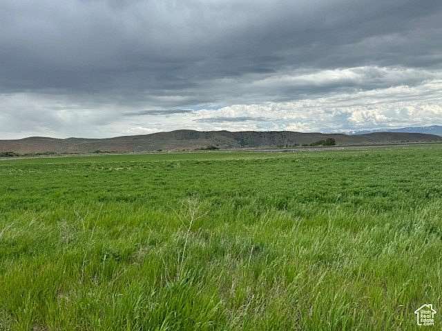 5 Acres of Residential Land for Sale in Clifton, Idaho